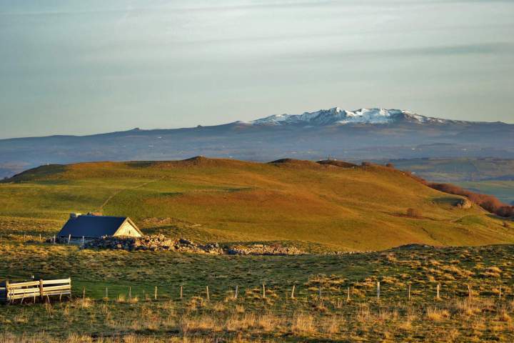  DSC0053