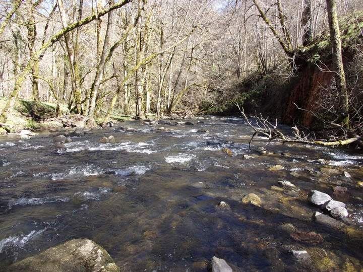 Action environnement Pays Gentiane