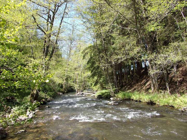 Protection de l’environnement Pays Gentiane
