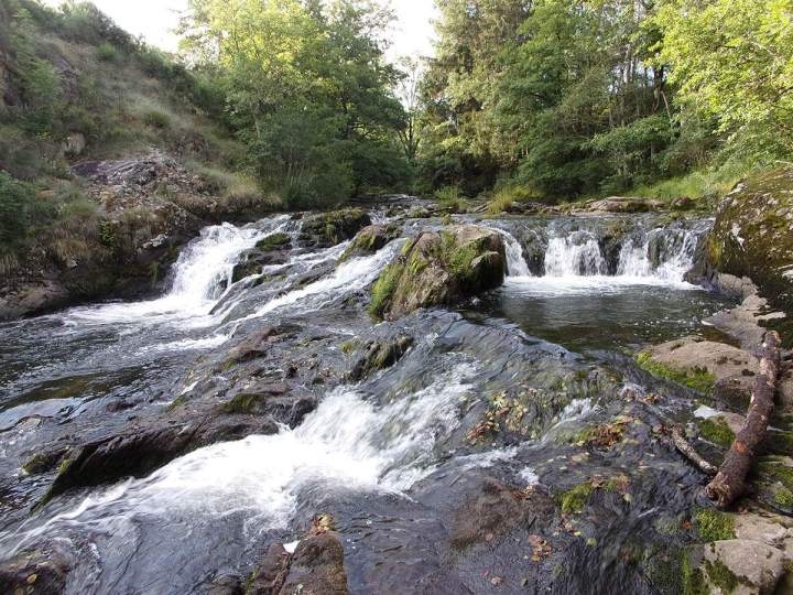 Protection de l’environnement Pays Gentiane