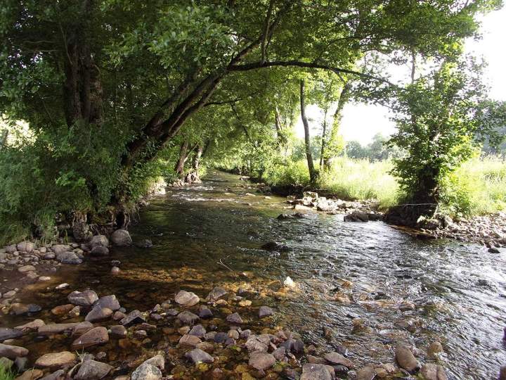 Protection de l’environnement Pays Gentiane