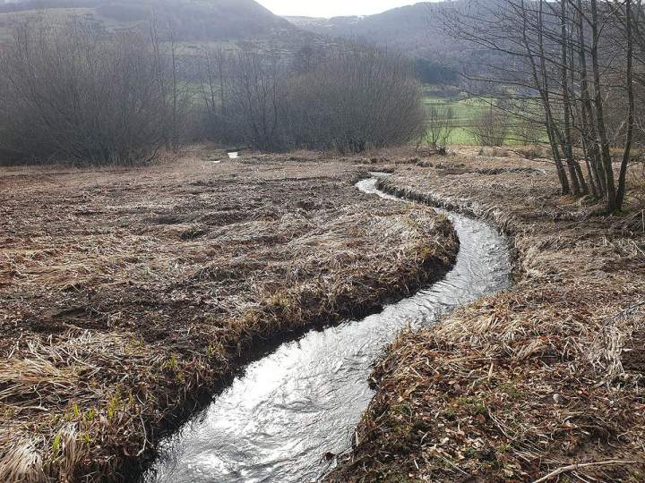 Protection de l’environnement Pays Gentiane