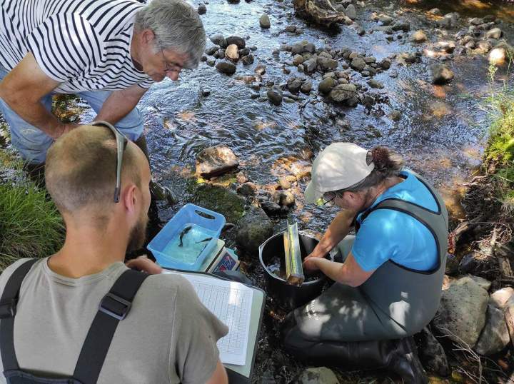 Protection de l’environnement Pays Gentiane