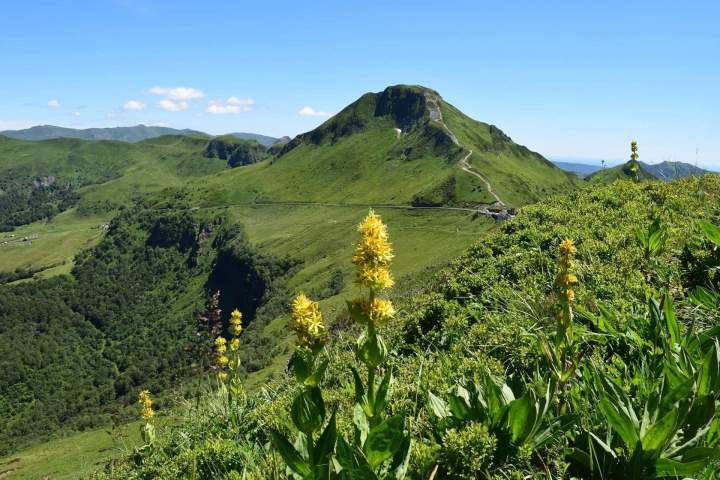 Agir pour l'environnement Pays Gentiane